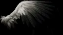 Hysteria banner