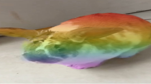 usagishima 🥕 Discord server banner