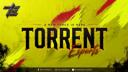 TORRENT ESPORTS Banner