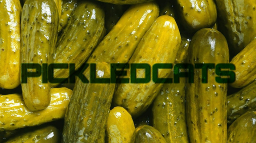 𝗣𝗜𝗖𝗞𝗟𝗘𝗗𝗖𝗔𝗧𝗦 Discord server banner