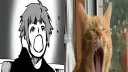 Chaos's... Waka Baka Discord server banner