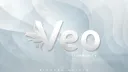 Veo banner