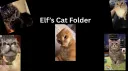 Elf's Cat Folder | Cats Server banner
