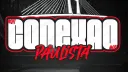 Conexão Paulista RP #011 banner