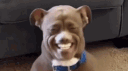 tappy <3 banner