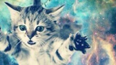 Meowtham City Discord server banner