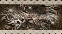 Dti baddies banner