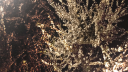 Rory In Early 20s... server banner