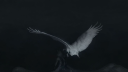 MotoPrix Racing Discord server banner