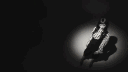 Faouzia server banner