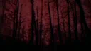 ⸝⸝ 𝑶𝑭 𝑩𝑳𝑶𝑶𝑫 & 𝑩𝑰𝑵𝑫𝑰𝑵𝑮〃 Discord server banner