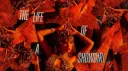 Taylor's Showgirls banner