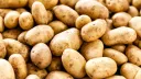 Potato Cult Discord server banner