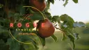 The Rogue Syndicate banner