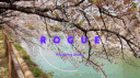 The Rogue Syndicate server banner