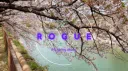 The Rogue Syndicate server banner