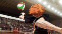 𝐄𝐥 𝐩𝐫𝐨𝐲𝐞𝐜𝐭𝐨 𝐇𝐚𝐢𝐤𝐲𝐮𝐮 [APERTURA OFICIAL] banner