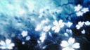 XENY 🐳 banner
