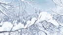𝜚     leebit     #lowkeyabandoned banner