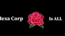 Xenox Support banner