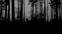 Creepypasta // ᴛʜᴇ ꜱʟᴇɴᴅᴇʀᴍᴀɴ ᴍᴀɴᴏʀ banner