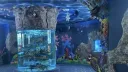 🌊    𓌔    KOS　    𓈈 banner