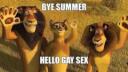 meow~land Banner