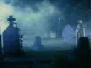 ♱𝕿𝖍𝖊 𝖌𝖔𝖙𝖍 𝖕𝖎𝖙♱ | 18+ Discord server banner