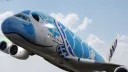 All Nippon Airways banner