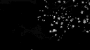 wh banner