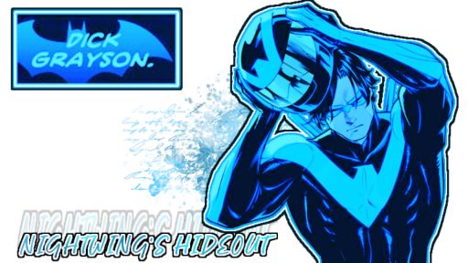 NIGHTWING'S HIDEOUT - inacitve Discord server banner