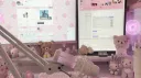𝓿𝓪𝓵𝓲'𝓼 𝓼𝓽𝓸𝓻𝓮 banner