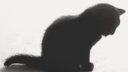 𝐑𝐨𝐮𝐪 Discord server banner