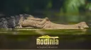 Rodinia Community banner