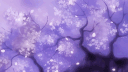 six thirty Discord server banner