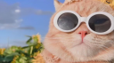 Tabuk cfwᴿᴾ Discord server banner
