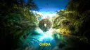 🌴・Onda #Graph banner