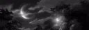 Moonlight-Club | 🍃 server banner
