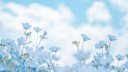 Reading with Jay Discord server banner