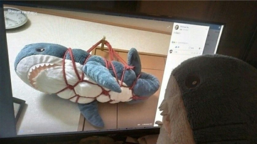 Blåhaism Believers Discord server banner