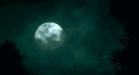 ⸝⸝ 🌙  /𝗍𝗁𝖾 𝗌𝗇𝗈𝗐𝗒 𝗆𝗈𝗈𝗇𝗋𝗂𝗌𝖾. banner