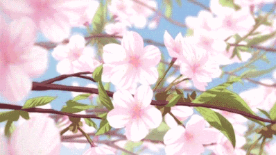 Stars Trading ۶ৎ Discord server banner