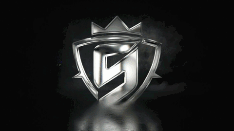 SKY E-SPORT banner