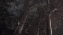 Ponder 16+ 📜🧟 banner