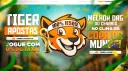 ORG TIGER | RUMO AO HEXA! 🐯🇧🇷 banner