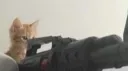 >< banner