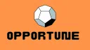 Opportune | Hire | Work | Connect server banner