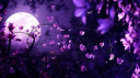 Starlight Gaze ! Discord server banner