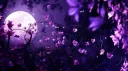 Starlight Gaze ! server banner