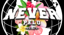 Never Pelu Discord server banner